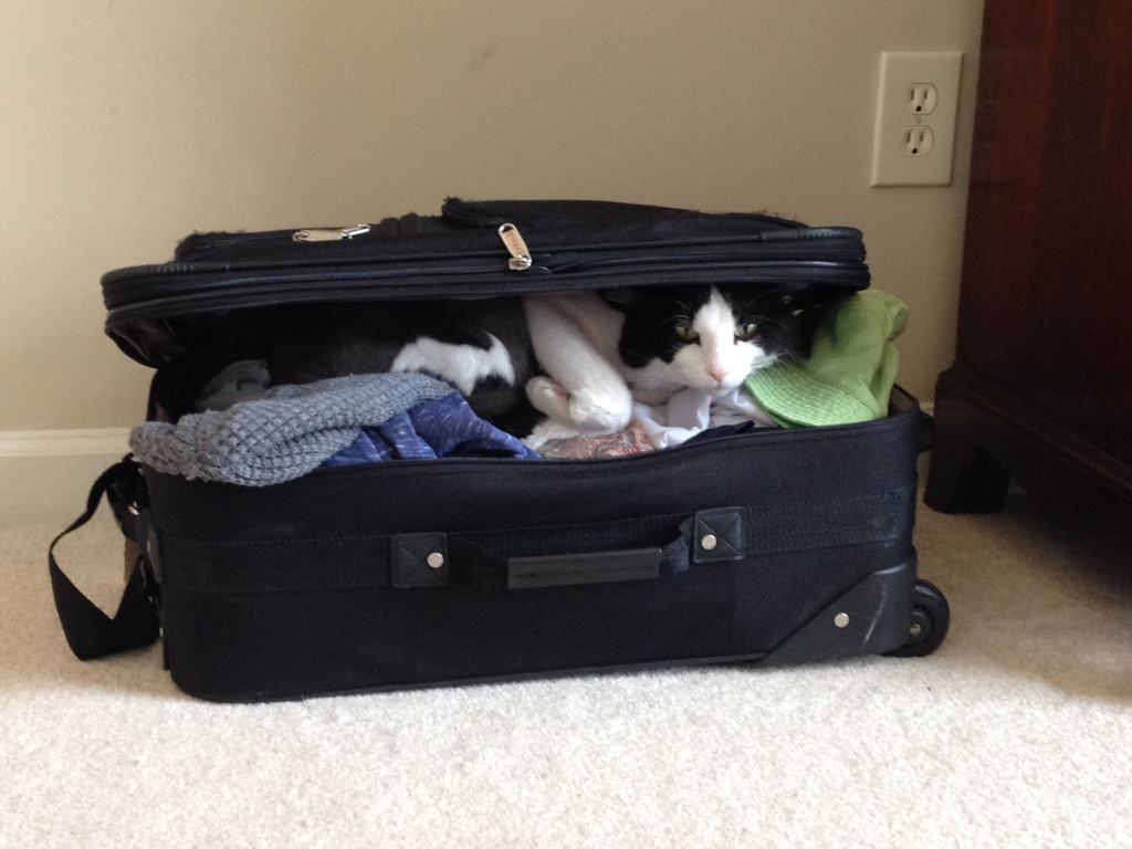 Please don't leave without me